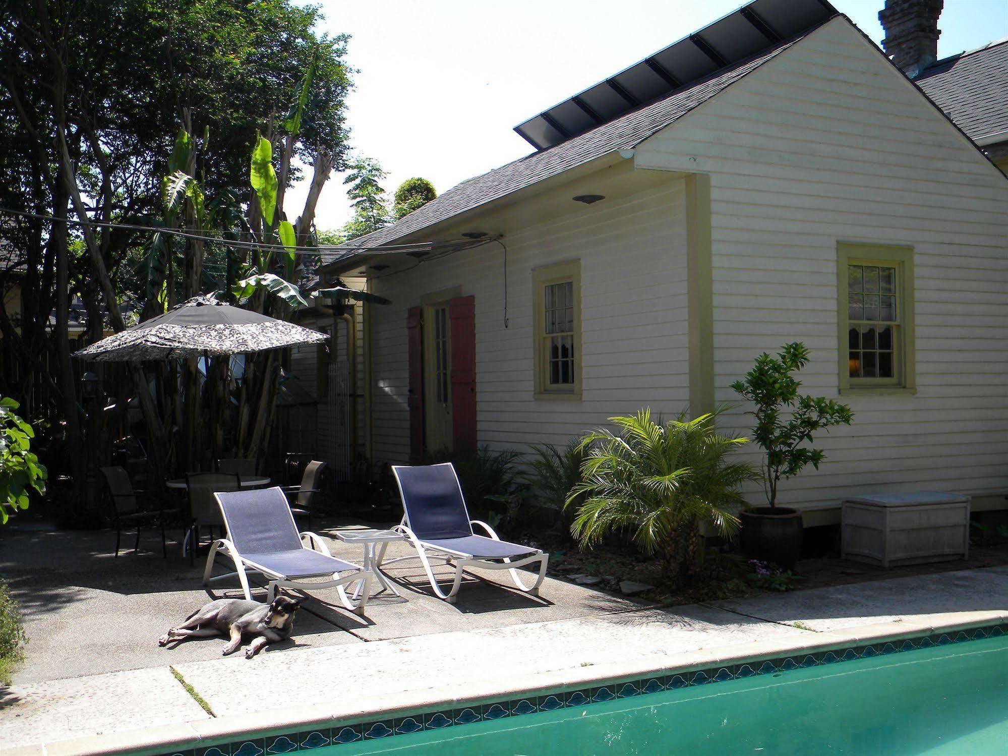 Maison De Macarty Bed & Breakfast New Orleans Exterior photo
